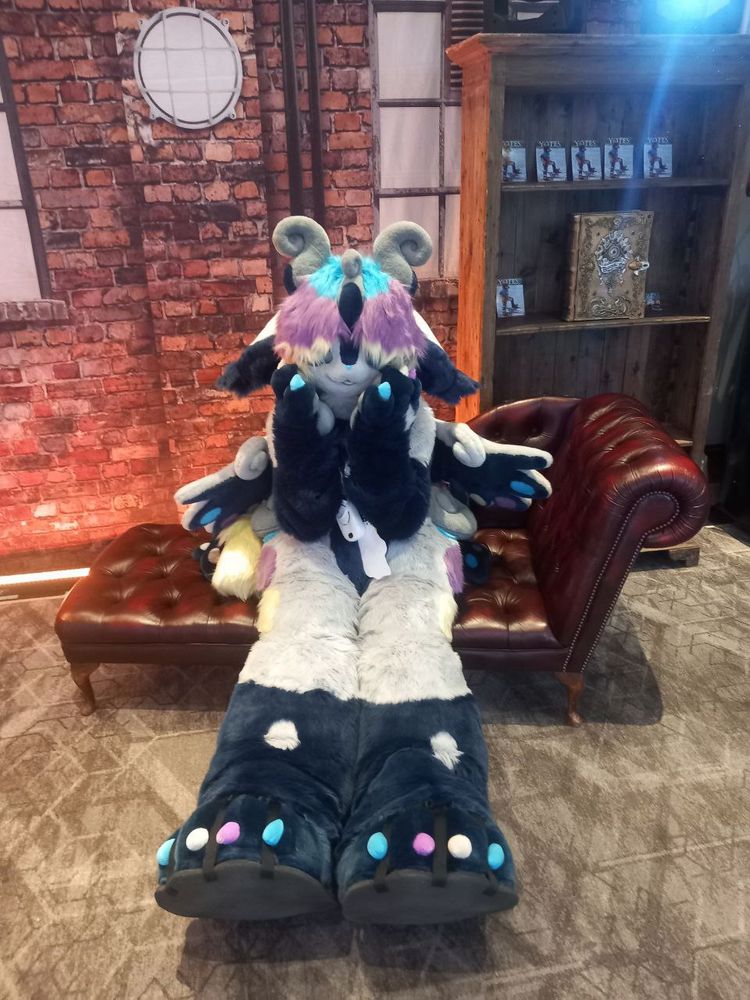 A photo of Fable, a kemono character with blue and white fur, blue/purple/yellow highlights, and curved horns. She is sitting on a lounging couch with her legs straight out towards the camera, holding her face in a bashful manner.