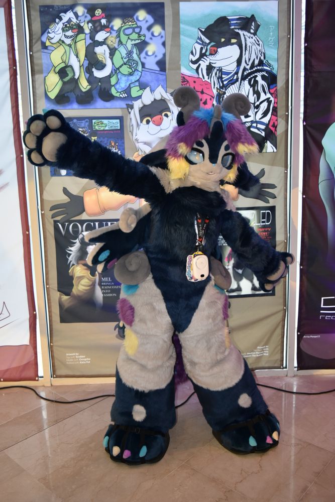 A photo of Parabella, a kemono character with dark blue and white fur, grey curled horns on her head and at her waist, wings, and blue/purple/yellow hair. She is standing with her arms stretched out, her right arm high and her left arm low, as if to go "ta-da!" at the camera. She is standing in front of an illustration of Mel, a honey badger in a yellow jacket, who is doing a similar pose with outstretched arms, but with her arms held outwards at more of an even and matching angle.