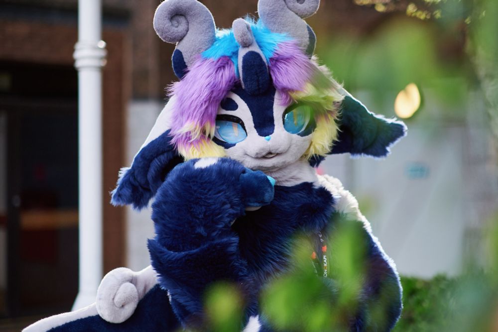 A photo of Parabella, a kemono creature with blue and white fur, low floppy ears, three curved goat horns, and blue eyes. She has short hair in a blue/purple/yellow gradient. She is looking at the camera with one hand up to her chin. In the foreground is some greenery lightly obscuring the camera view.