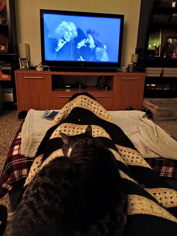 A pic of my legs covered by a black, cream and white striped crocheted blanket stretched out onto an ottoman with Shadow, a black, white and brown striped cat, on them.  A TV on in the background with a scene from The House on Haunted Hill with a woman holding candle screaming while an old scary woman has her teeth bared and hands up in claw shapes