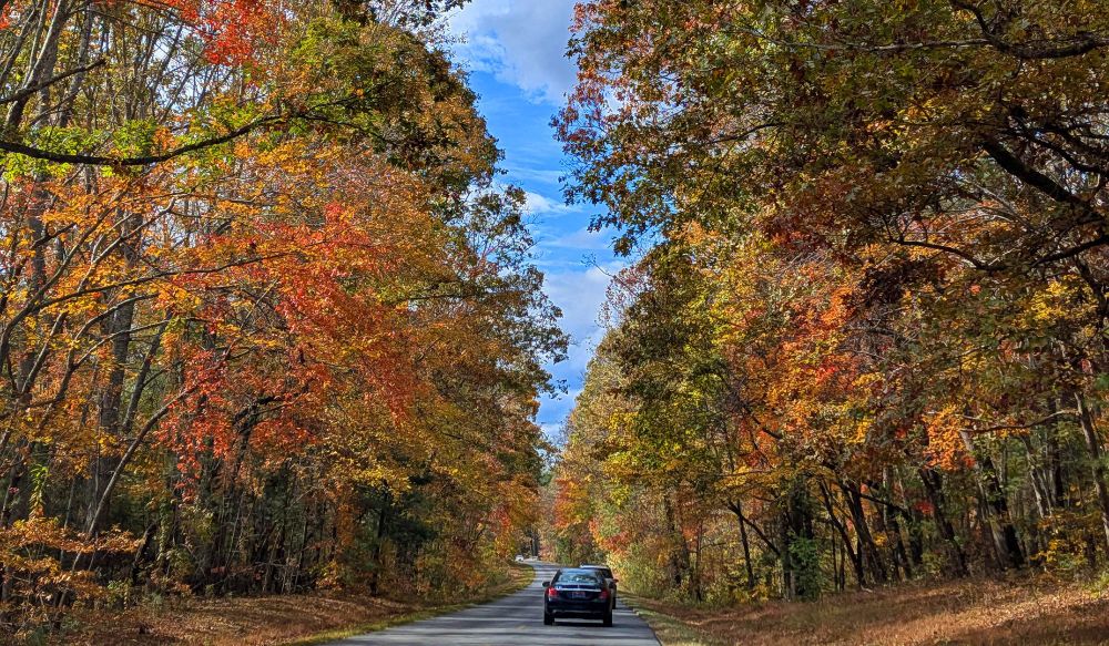 Cars on the Blue Ridge Parkway surrounded by brightly colored trees