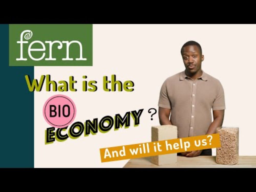What is the bioeconomy and will it help us?