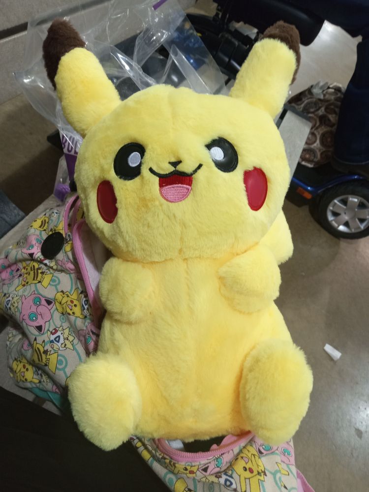 Knockoff pikachu plush my dad got me at the state fair the year before this one. I think she's cool. Very fluffy.