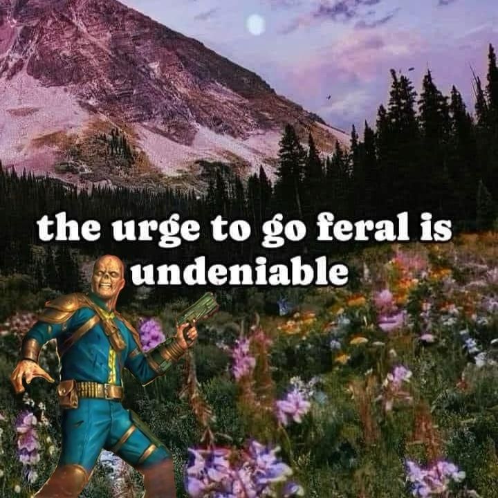 Comment image