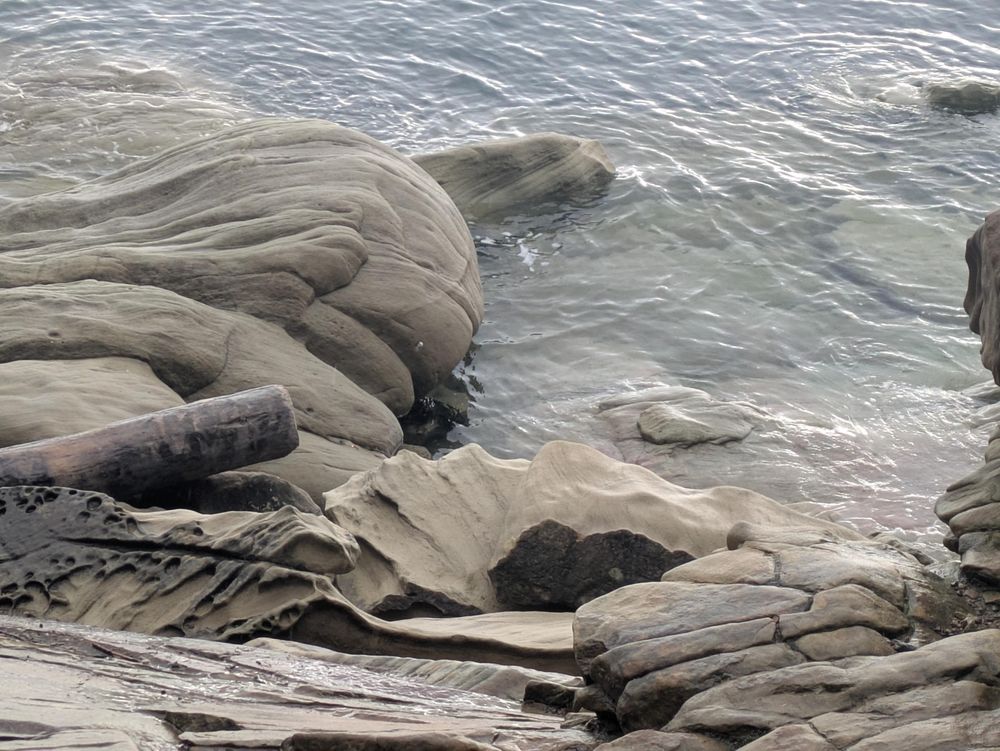 A photograph looking down towards the water's rippling edge. The majority of the image is of light brown, weather and sea-worn sandstone rocks smoothed down to rounded surfaces. A worn, darker brown tree trunk is wedged between a group of rocks on the left middle of the image. The water is lightly rippling out in multiple directions from the rocks.
