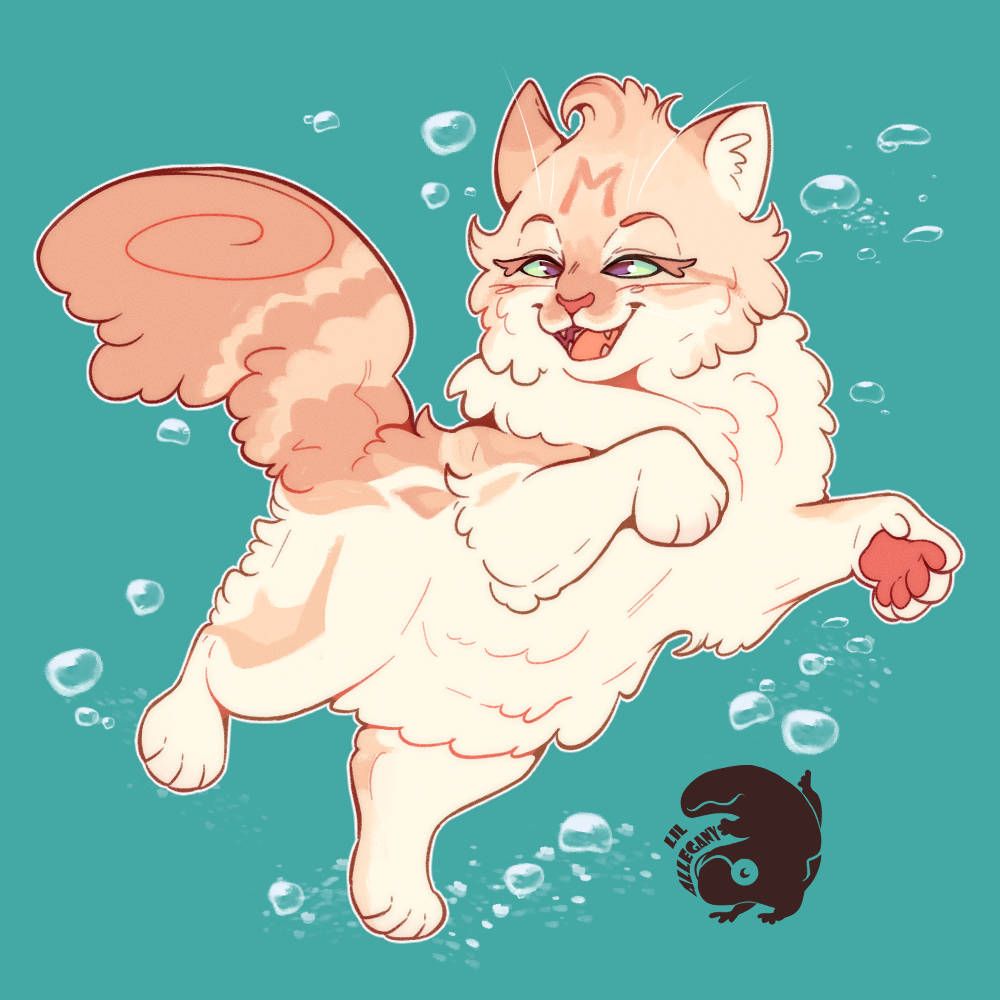 A stylized illustration of a fluffy, light orange and white cat swimming on a teal-colored background with bubbles. The cat has a mischievous expression and an "M" on its forehead.
