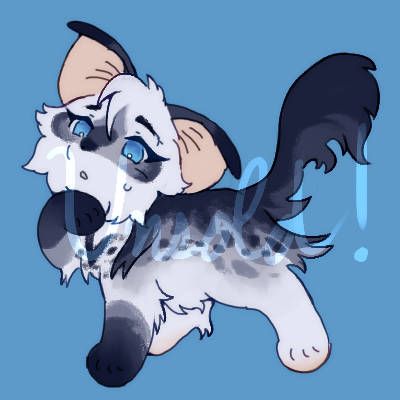 a dappled white and silvery blue cat adopt