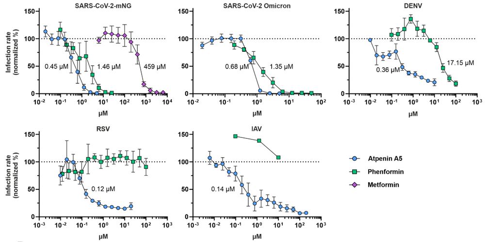 Inhibition curves for Atpenin A5 and Phenformin against several viruses.
