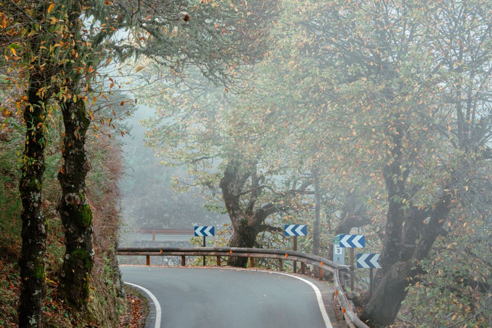 Fog over winding road in hills in Las Palmas 