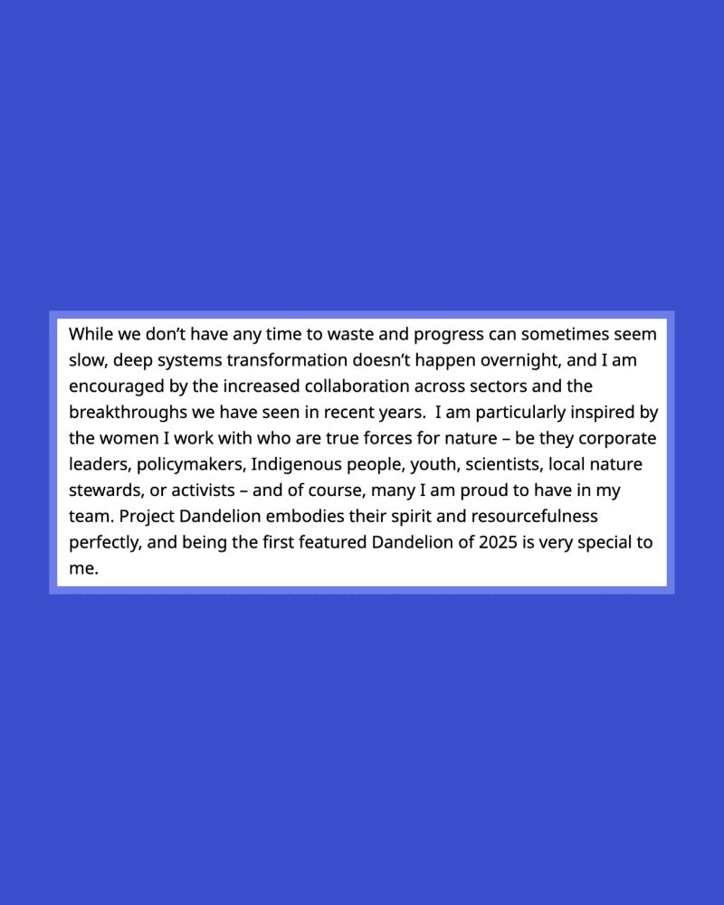 Text from Eva Zabey's feature in the Dandelion Digest: While we don’t have any time to waste and progress can sometimes seem slow, deep systems transformation doesn’t happen overnight, and I am encouraged by the increased collaboration across sectors and the breakthroughs we have seen in recent years.  I am particularly inspired by the women I work with who are true forces for nature – be they corporate leaders, policymakers, Indigenous people, youth, scientists, local nature stewards, or activists – and of course, many I am proud to have in my team. Project Dandelion embodies their spirit and resourcefulness perfectly, and being the first featured Dandelion of 2025 is very special to me. 