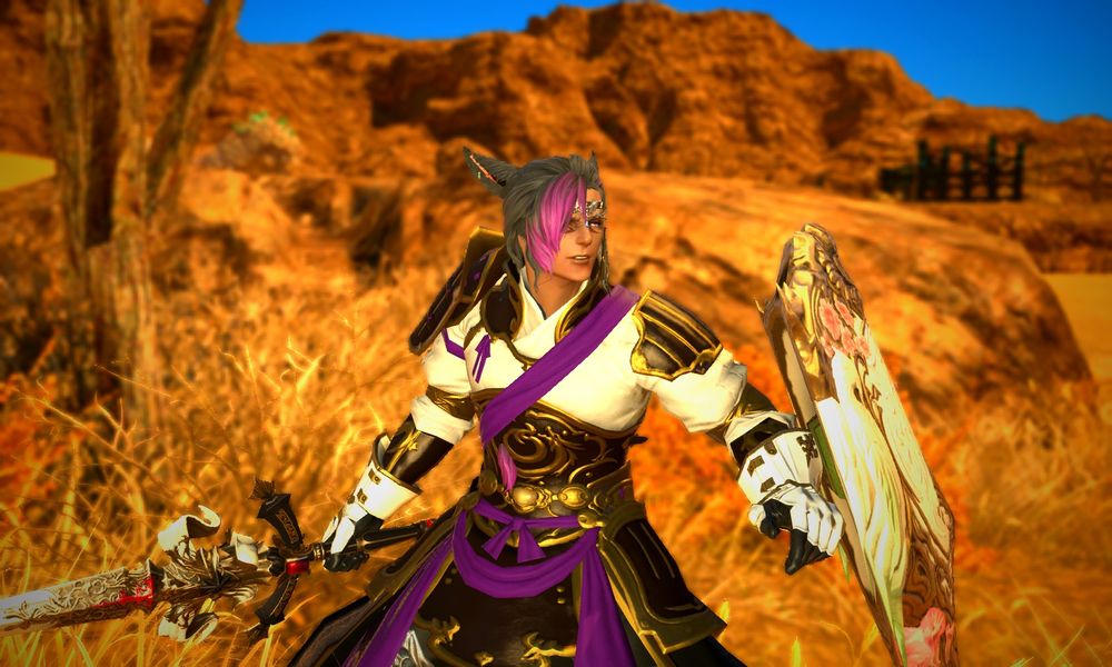 a miqo'te (cat person) from ffxiv, with brown skin, dark grey hair with purple highlights, dressed in armor and wielding a sword and shield. he is facing to the right, in a fighting stance, with a desert as a background.