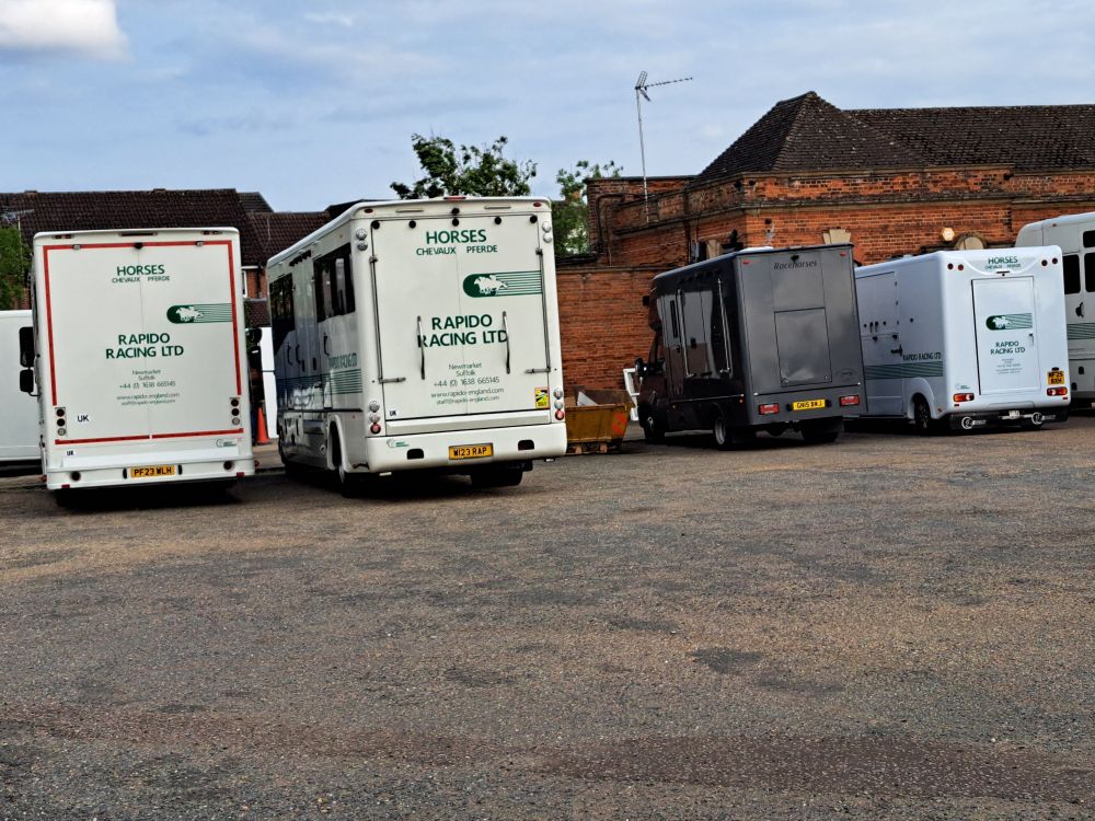 so many horse boxes, I mean this wasn't even half of them in this one car park