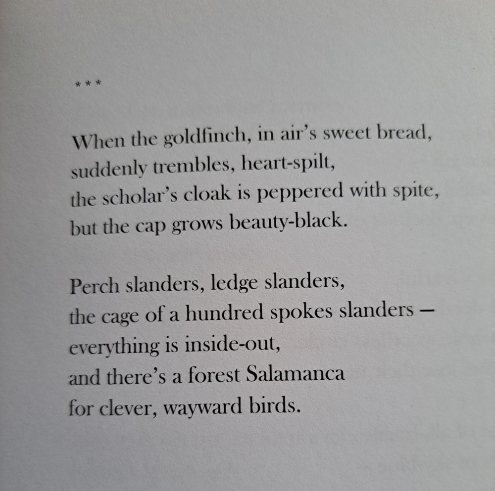 When the goldfinch, in air's sweet bread, suddenly trembles, heart-spilt, the scholar's cloak is peppered with spite, but the cap grows beauty-black. Perch slanders, ledge slanders, the cage of a hundred spokes slanders - everything is inside-out, and there's a forest Salamanca for clever wayward birds.