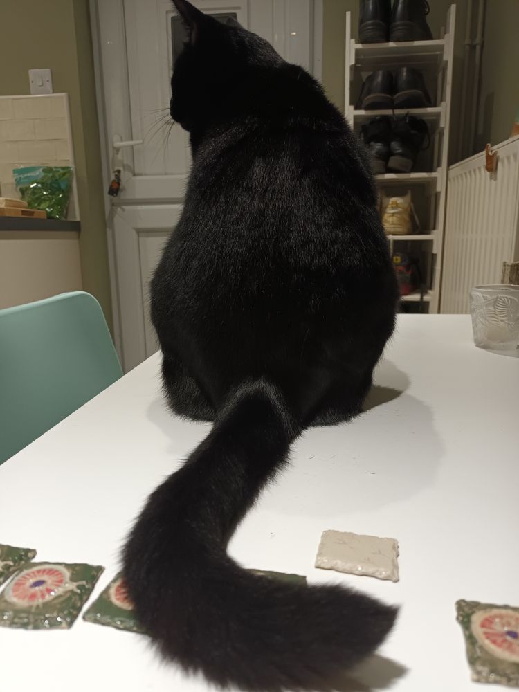A black cat sits on a white kitchen table. He is swishing his tail so that it scatters pieces of tile.