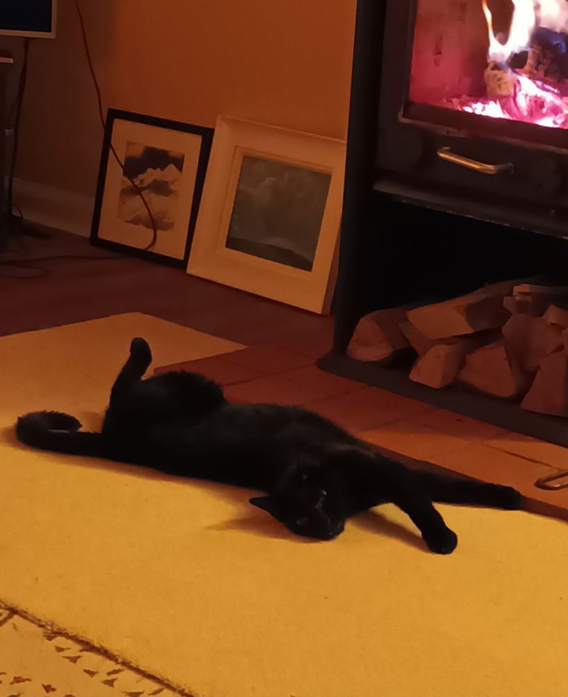 A black cat lies on a rug in front of the log burner. He is very relaxed.