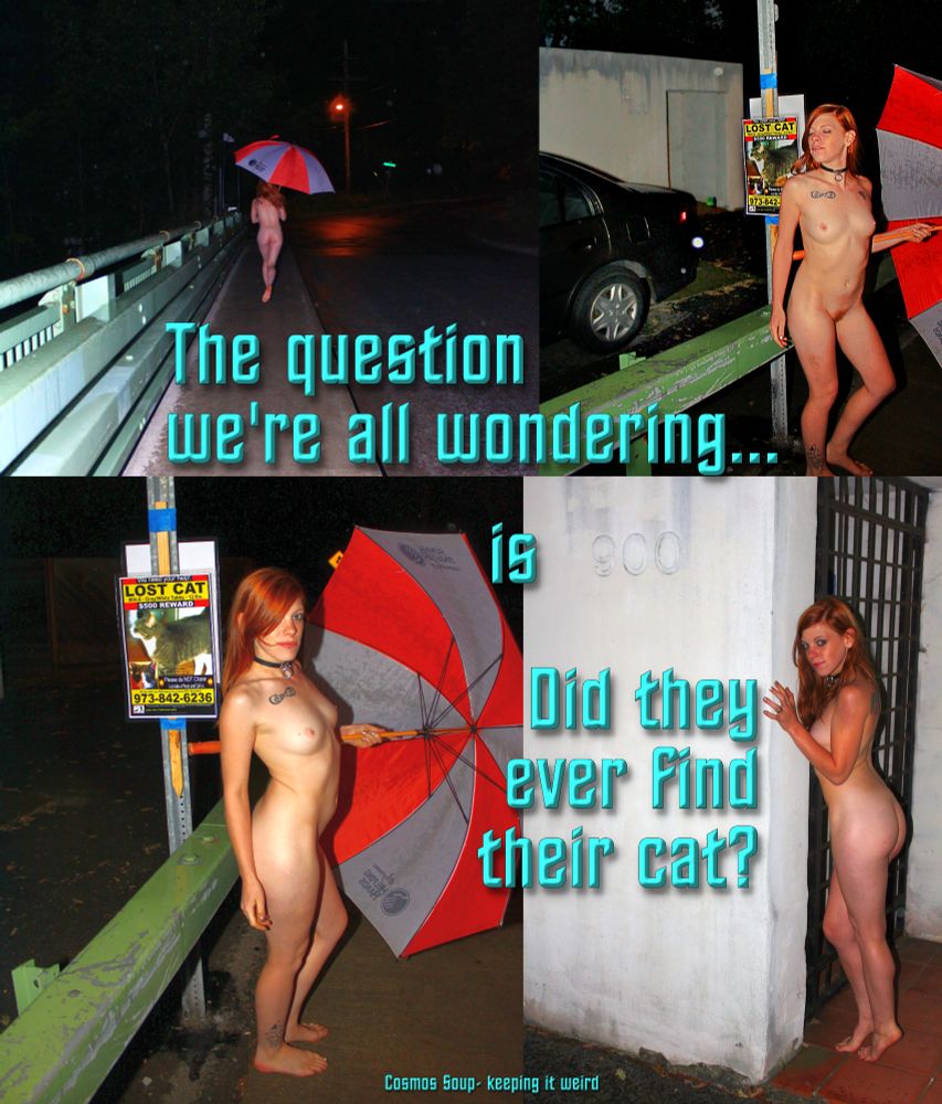 Redhead looks for Danny Cat on Stewart Ave in Ithaca. Puts a sign up at Carl Sagan's old house. These are some of the things molecules do, given 15 Billion years of cosmic evolution. 
Meow.