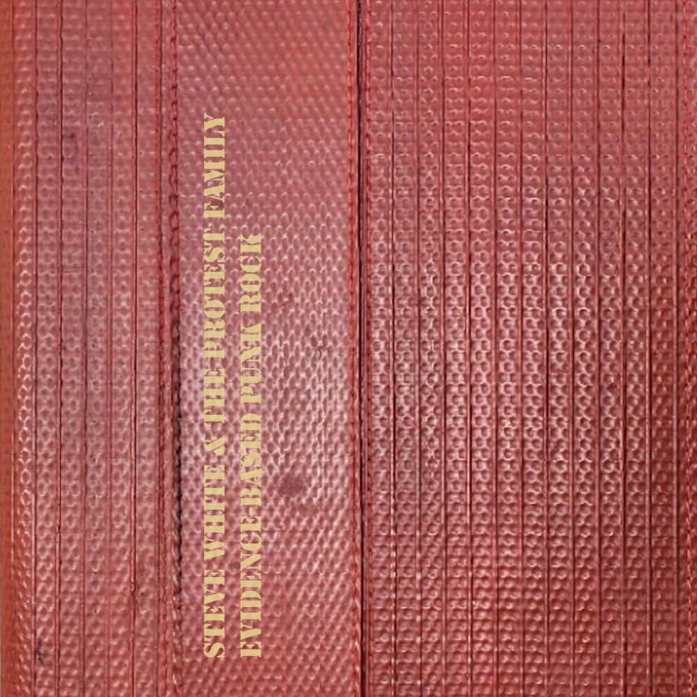 The album cover for Evidence-Based Punk Rock by Steve White & The Protest Family
