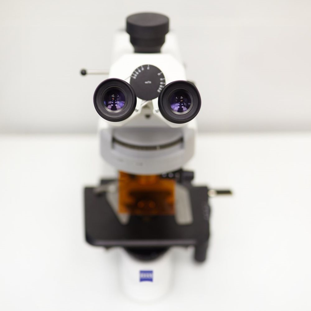 Image of a ZEISS Axio Lab.A1 light microscope as seen by the microscopist sitting in front of it: The microscope looks a bit like a smiling face, as the microscope's eyepieces resemble eyes in a face and other microscope components underneath resemble smiling lips.