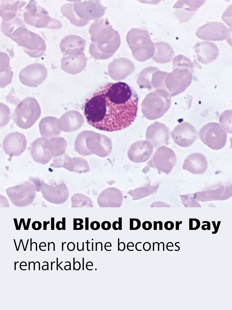 Microscopic view of blood cells with a text overlay: “World Blood Donor Day. When routine becomes remarkable.”.

