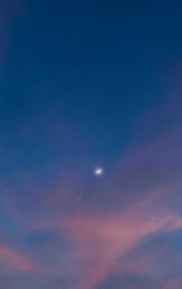 photo taken around Jakarta, by myself