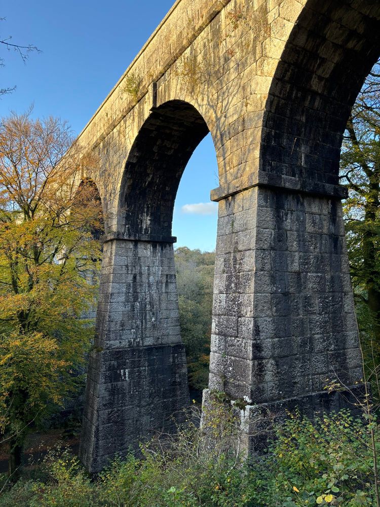 The south side of the Treffry Viaduct, illuminated by sunlight, with trees around the piers.