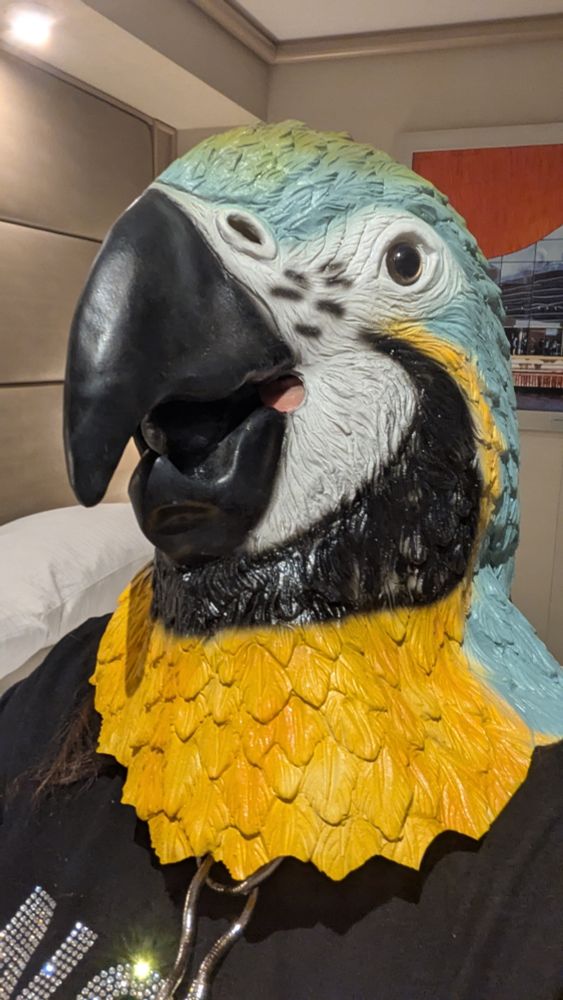Me wearing a full head parrot mask that I wore for the room service guy on the cruise ship in on, he laughed very hard