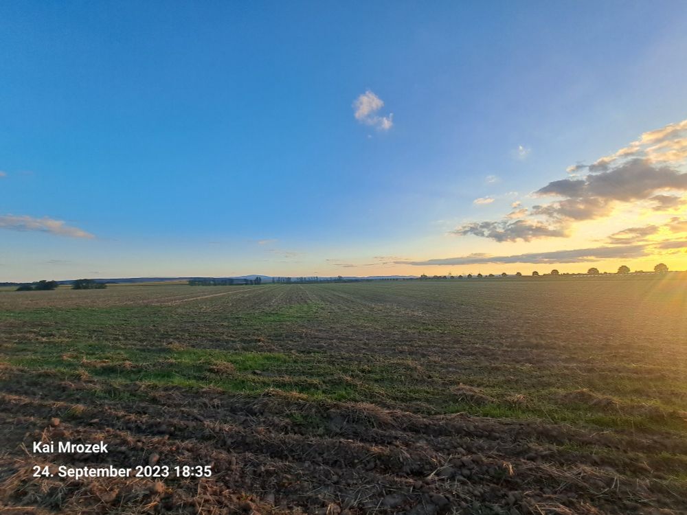 Der Harz im Hintergrund