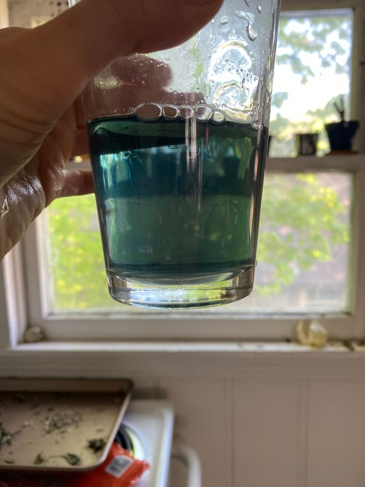 A cup of turquoise bean water