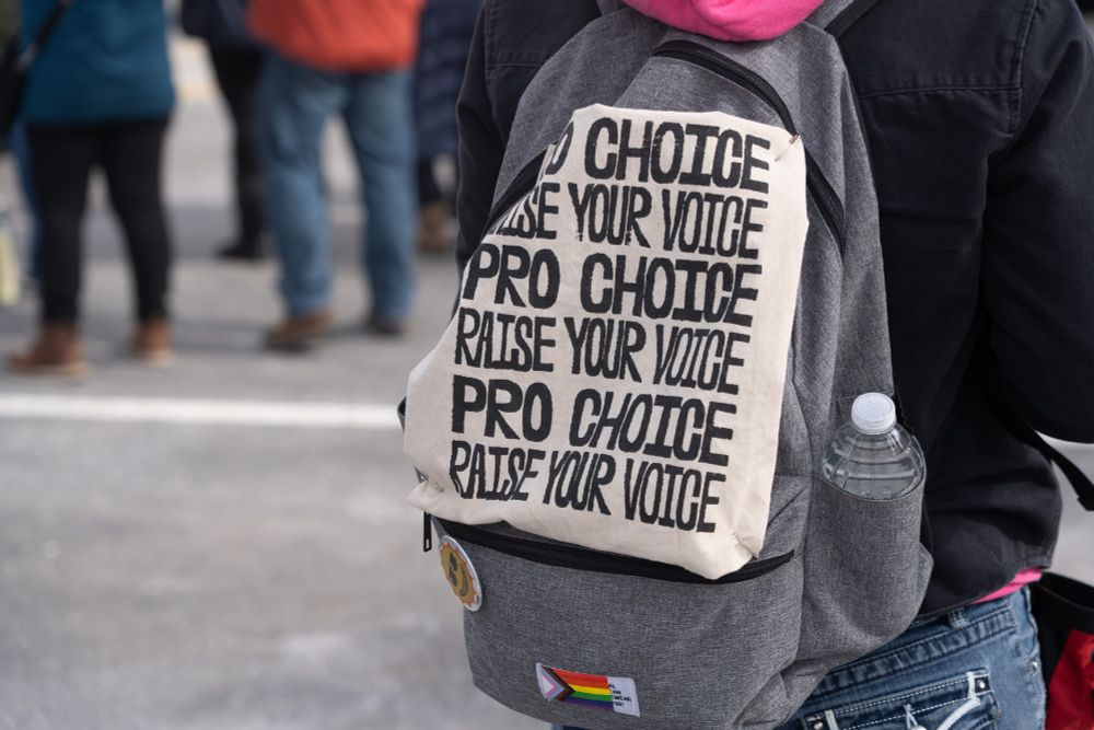 IWD Protest March - backpack with sign attached that says "pro choice raise your voice" three times. 
Photo by Marc Nozell used under a Creative Commons license