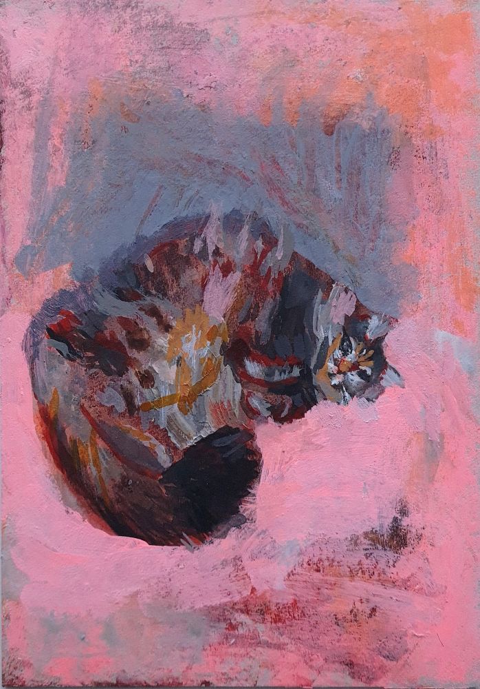 Painting of a tabby cat lying on its side with its paws pulled up under its chin. The cat is lying on a pink background.