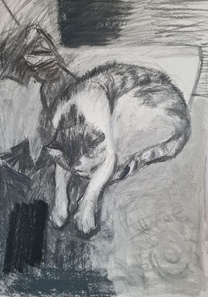 Charcoal drawing of a tabby and white cat sleeping with his paws stretched out in front of him.