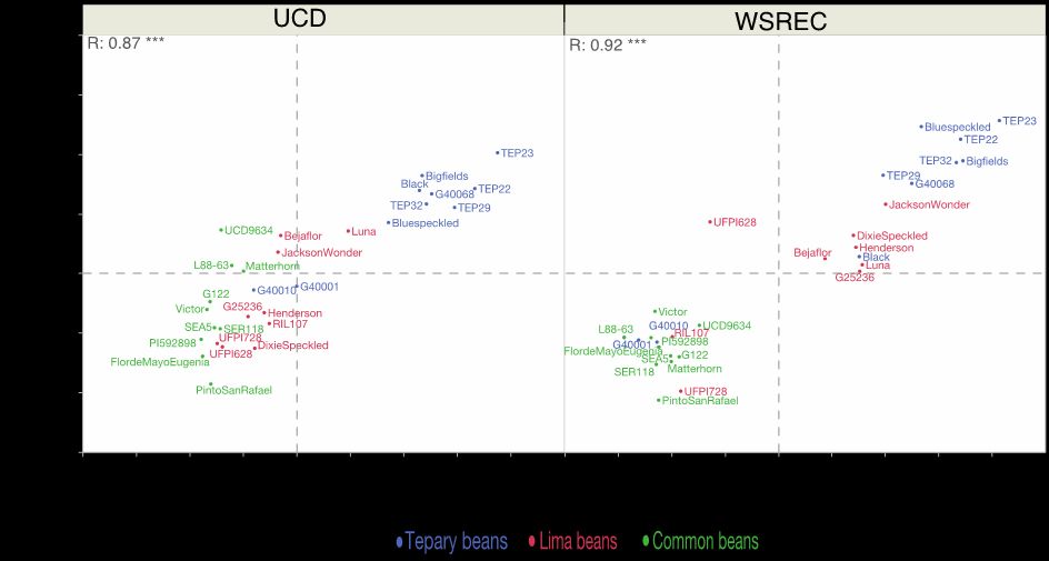 Graph comparing grain yield  at UC Davis (UCD) and West Side Research and Extension Center (WSREC) under drought (x-axis) and well-watered (y-axis) of three bean species: tepary bean (blue), Lima bean (red), and common bean (green). Under both conditions, tepary bean has a superior yield to the other two species.