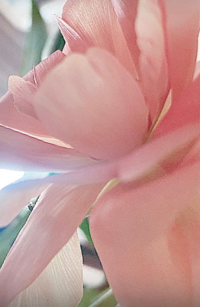 Zo teer, zo zoet van kleur en geur