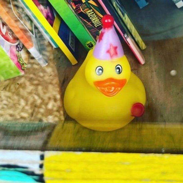 Foto de um pato de borracha amarelo usando na cabeça um típico chapéu cônico de aniversário na cor rosa e com detalhes de estrelas vermelhas. Ele está em uma estante de livros e está virado na direção da câmera.