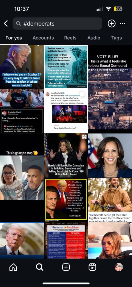 Instagram interface with search results for the hashtag “democrats”. The screen shows various posts ex. infographics, video reels, VP Kamala Harris, CA wildfires, former president bill clinton