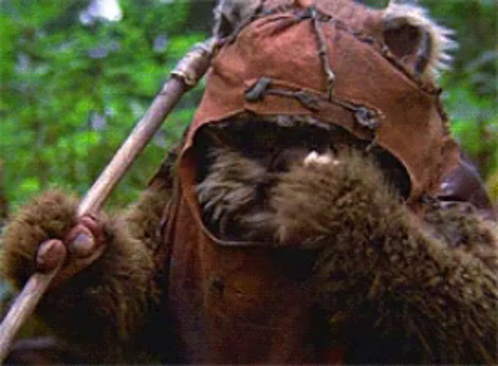 a close up of a bear wearing a brown hat and holding a wooden stick