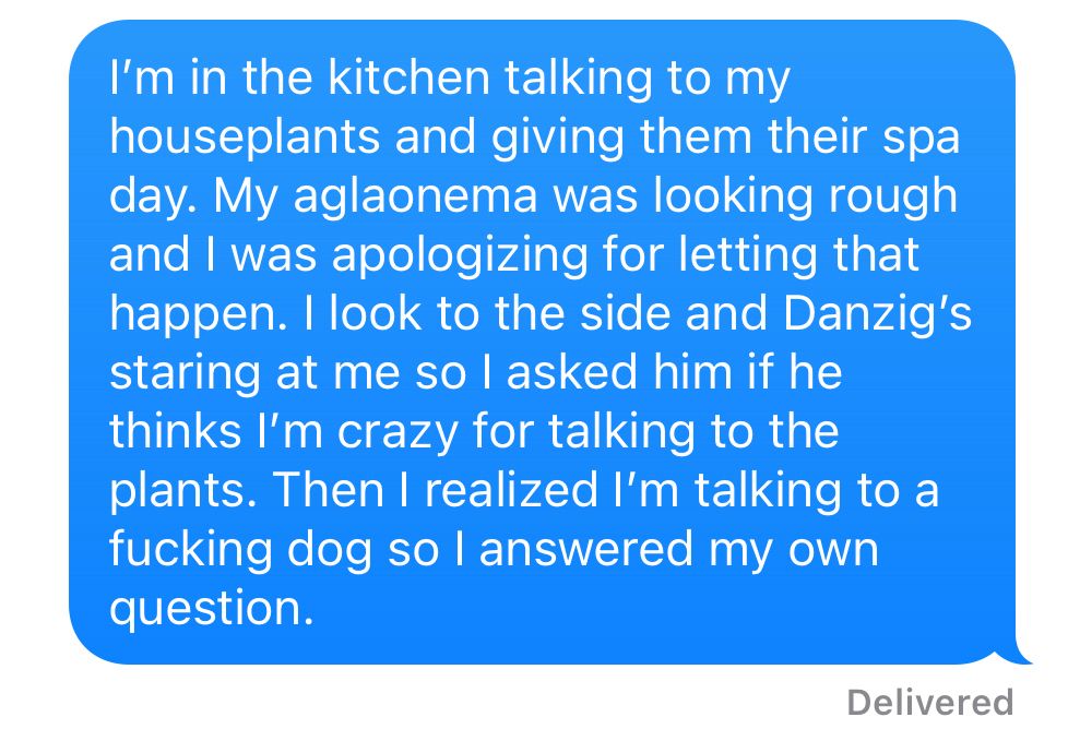 Screenshot of a text I sent about talking to plants, asking the dog if I’m crazy for it, then realizing I’m talking to a dog so… yes.