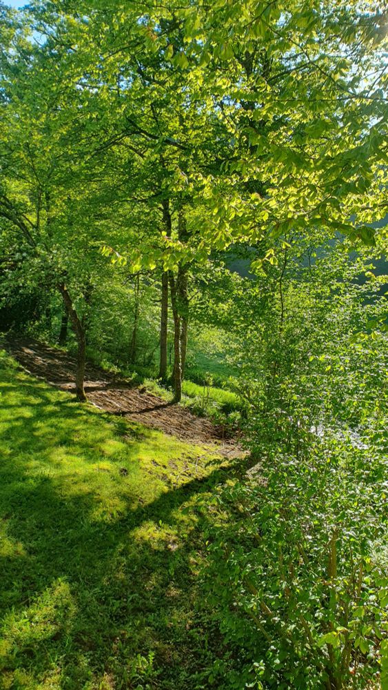 Parcelle de terre labourée au milieu d'arbres verts. Paysage très bucolique 