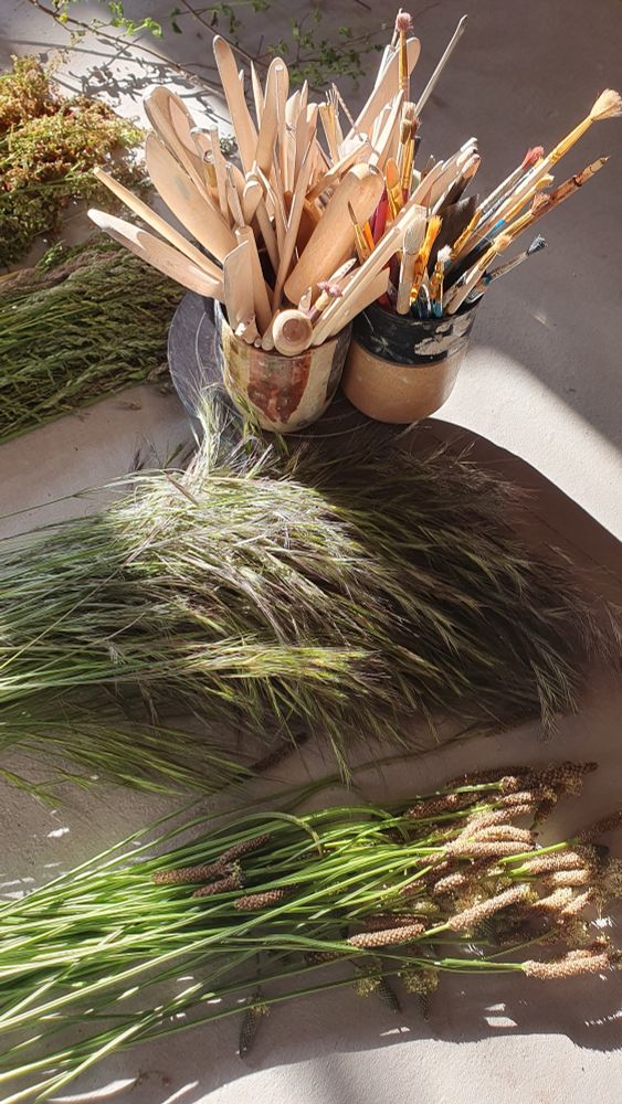 Plantes sauvages coupées sur une table avec des outils de potiers