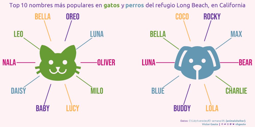 Dos figuras con íconos de un perro y un gato en el centro de cada panel. De los íconos surgen los 10 nombres más comunes para cada uno. Gatos: Luna, Oreo, Bella, Leo, Nala, Daisy, Baby, Lucy, Milo y Oliver. Perros: Max, Rocky, Coco, Bella, Luna, Blue, Buddy, Lola, Charlie y Bear.