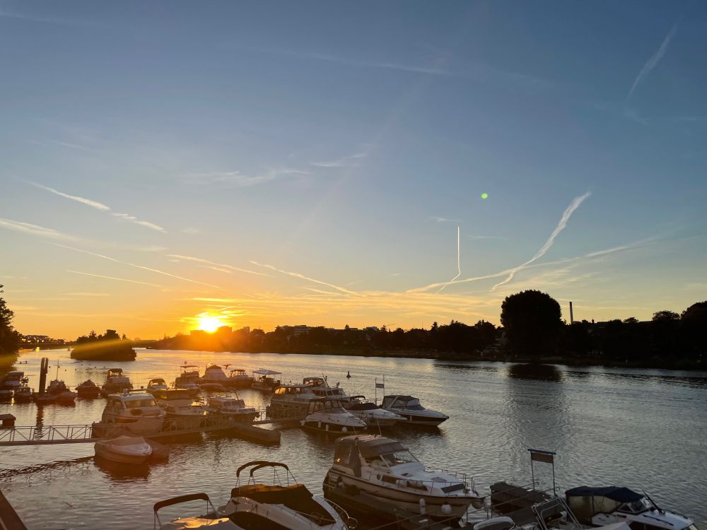 Blick in den Sonnenuntergang über den Yachthafen am Heidelberger Neckar.