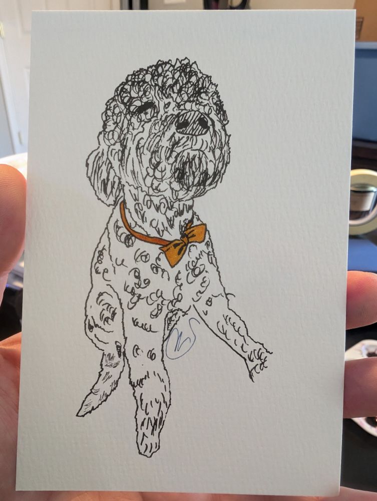 A pen drawing of a very curly-haired dog