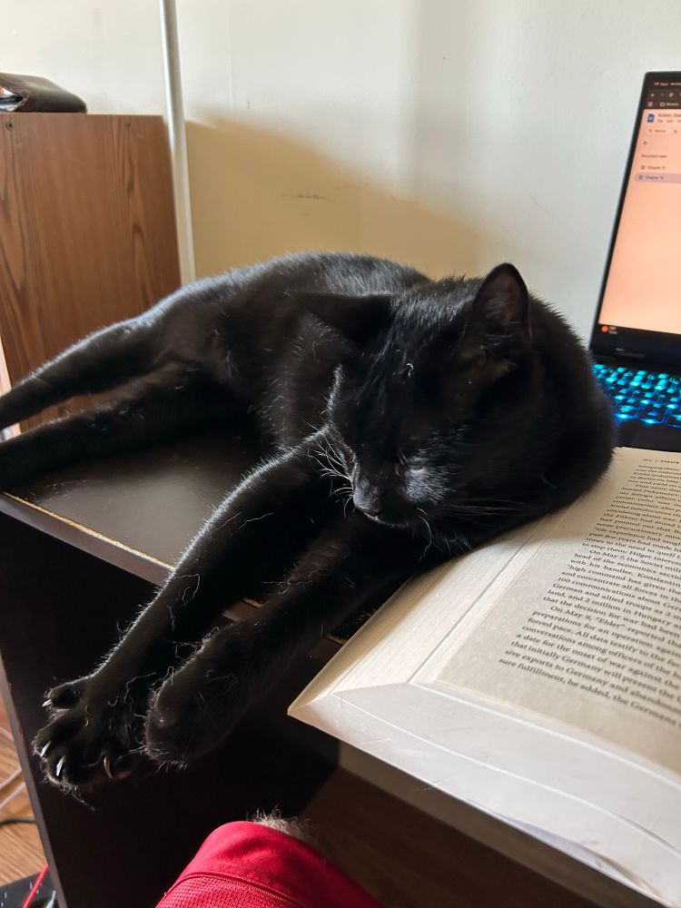 Coal, a black cat, lies on a black desk next to a book