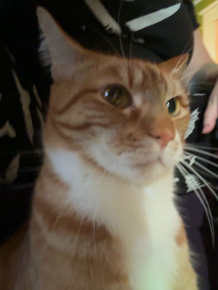 Serious airplane ears before the gabapentin kicks in