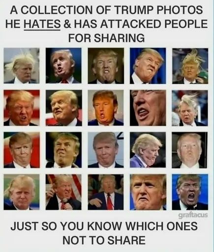 Quote "A collection of Trump photos he hates and has attacked people for sharing. Just so you know which ones not to share."