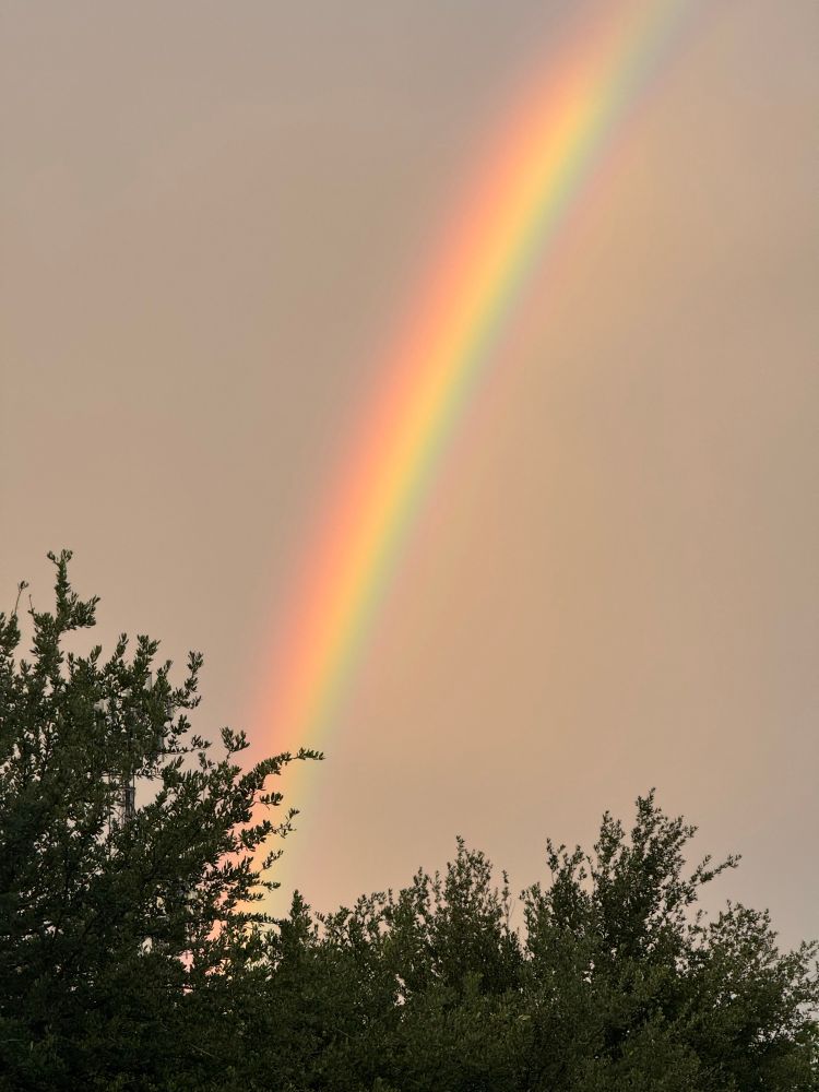 Rainbow on a dreary day. Rainbow coming up over the trees in the horizon. 