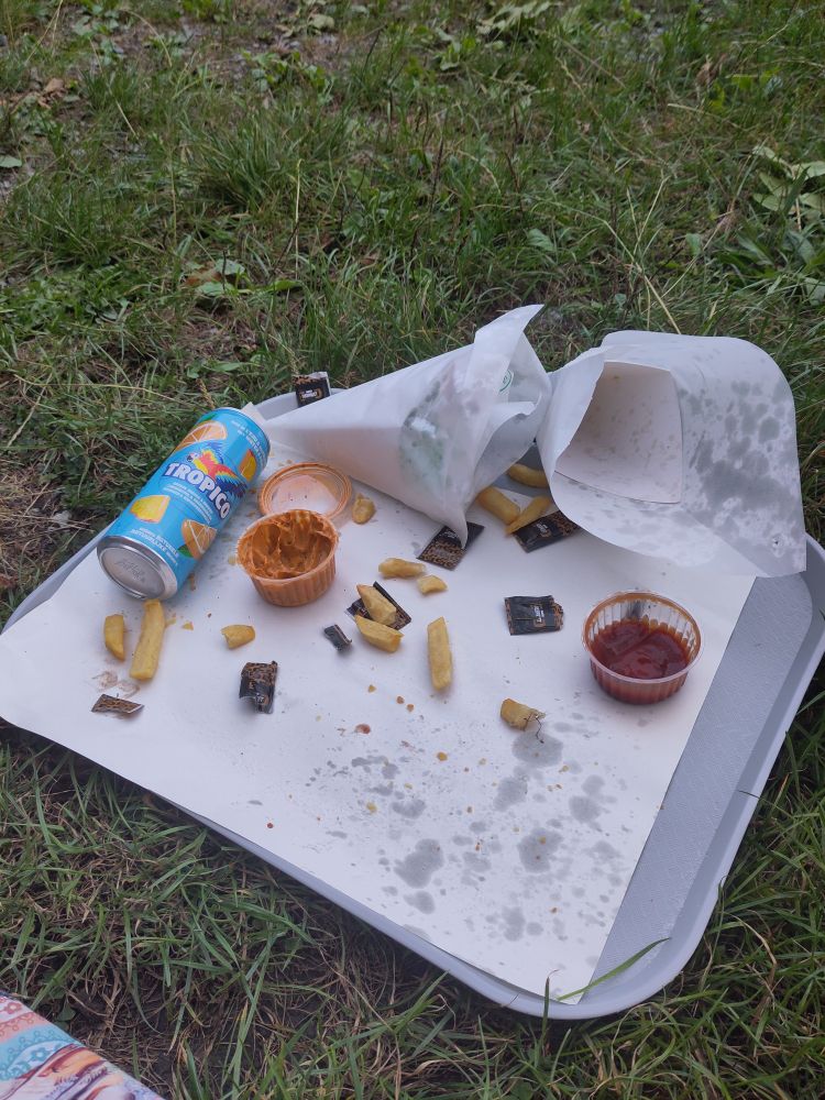 Relief du repas : un plateau en plastique blanc recouvert d'un papier gras, parsemé de quelques frites. Il y a deux cornets en papier, vides, deux pots de sauce, un ketchup et une américaine et une canette de Tropico