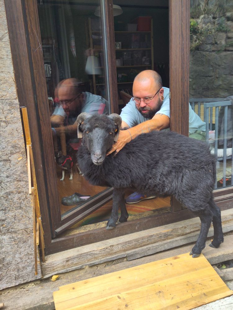 La même : Maxime, souriant, qui gratte le cou d'un mouton de Ouessant noir visiblement en plèz sur le pas de la porte fenêtre mais le mouton nous regarde