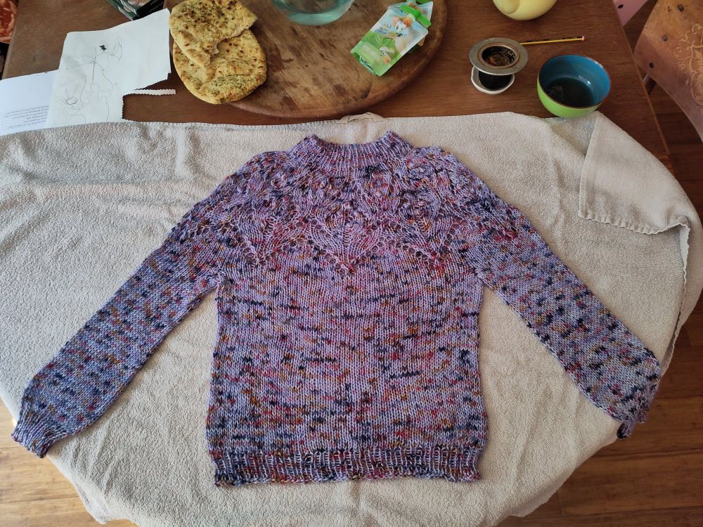 Le pull en entier, il y a un motif en dentelle tout autour de l'encolure