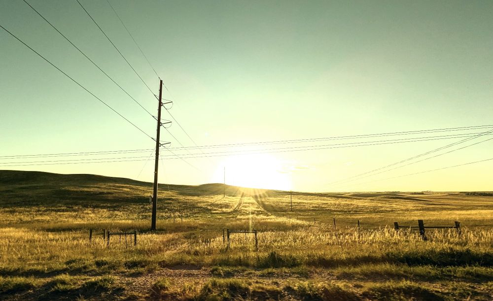 A gold rolling field with one telephone pole off to the left